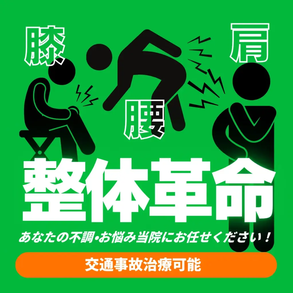 整体 meta広告