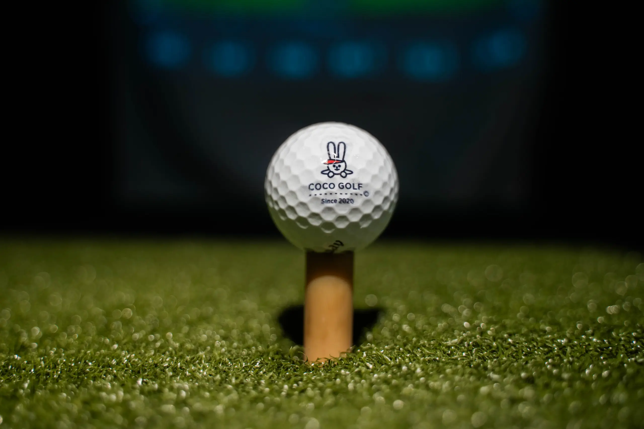 COCOGOLFイトーヨーカドー大和鶴間店の写真 7